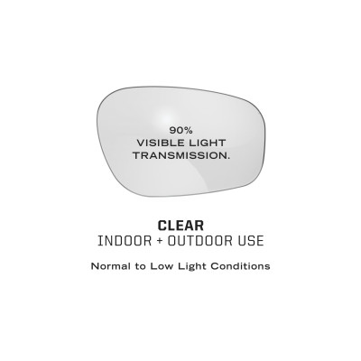 Vision Type-N Ballistic Protective Eyewear
