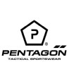 Pentagon